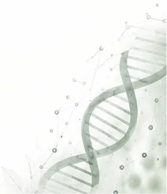DNA streng