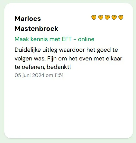 review workshop Maak kennis met EFT